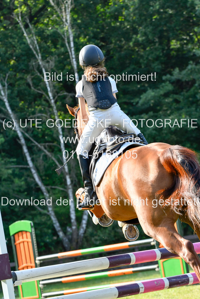 Reitturnier Harburger RV  16.7.2021 | 16072021 Springpfg Kl E_083 