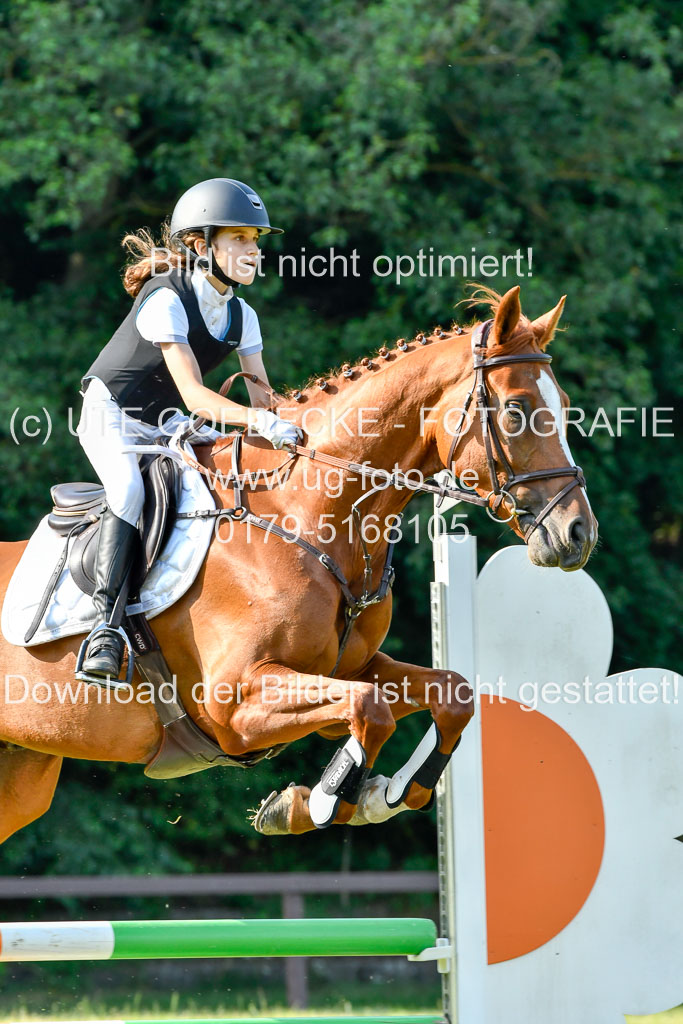 Reitturnier Harburger RV  16.7.2021 | 16072021 Springpfg Kl E_085 