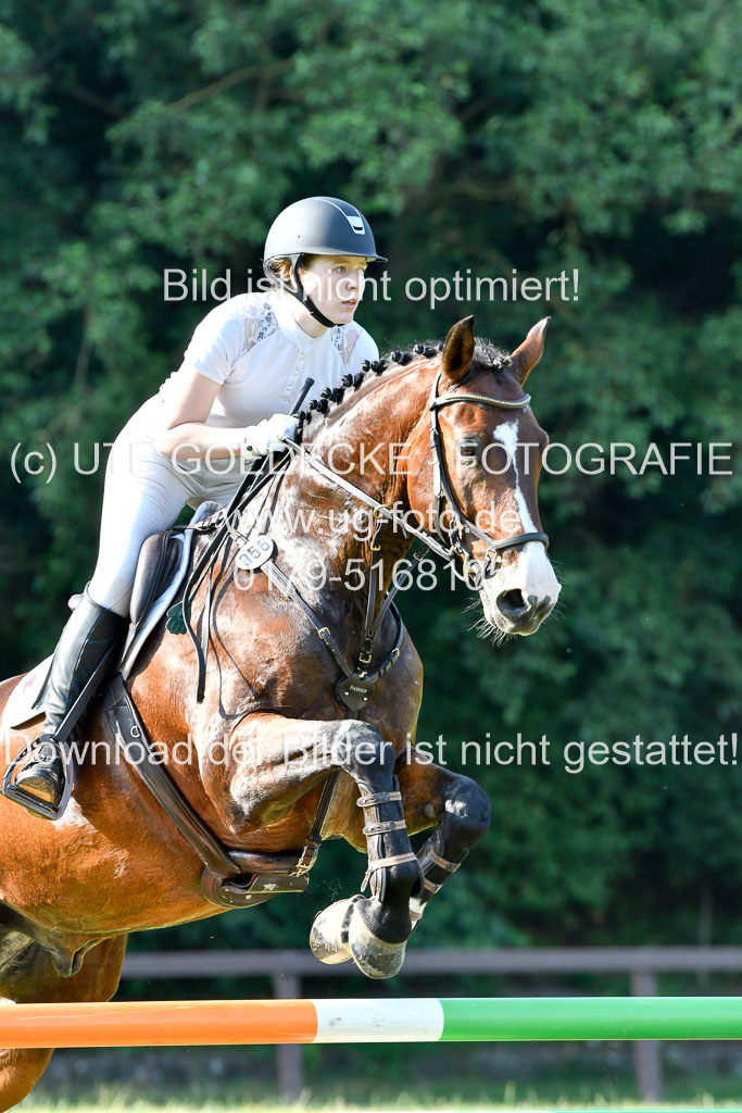 Reitturnier Harburger RV  16.7.2021 | 16072021 Springpfg Kl E_088 