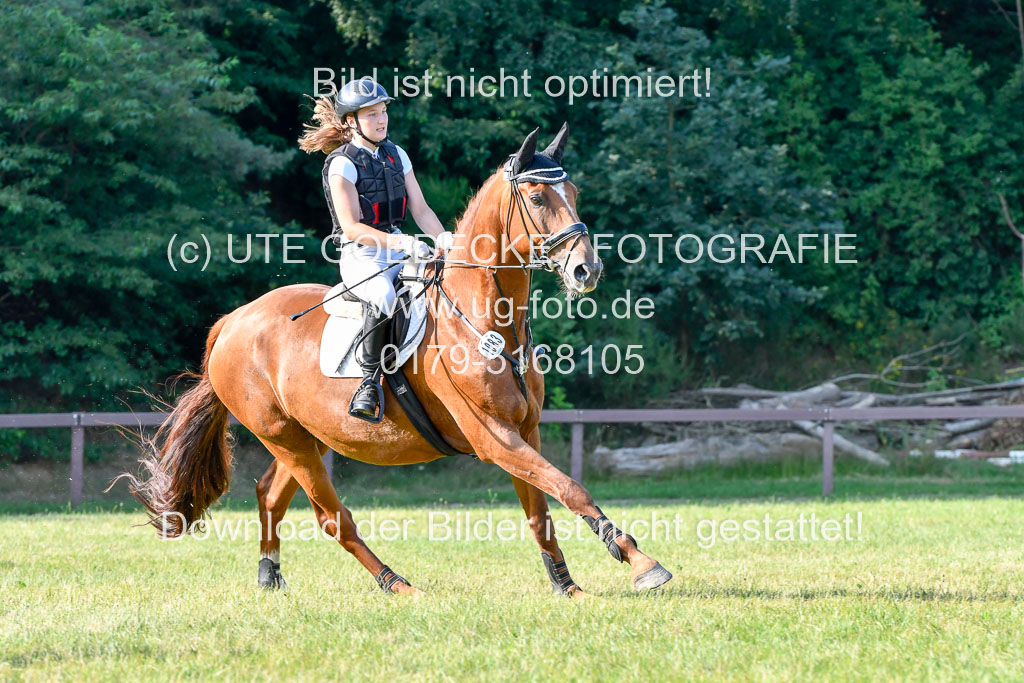 Reitturnier Harburger RV  16.7.2021 | 16072021 Springpfg Kl E_091 