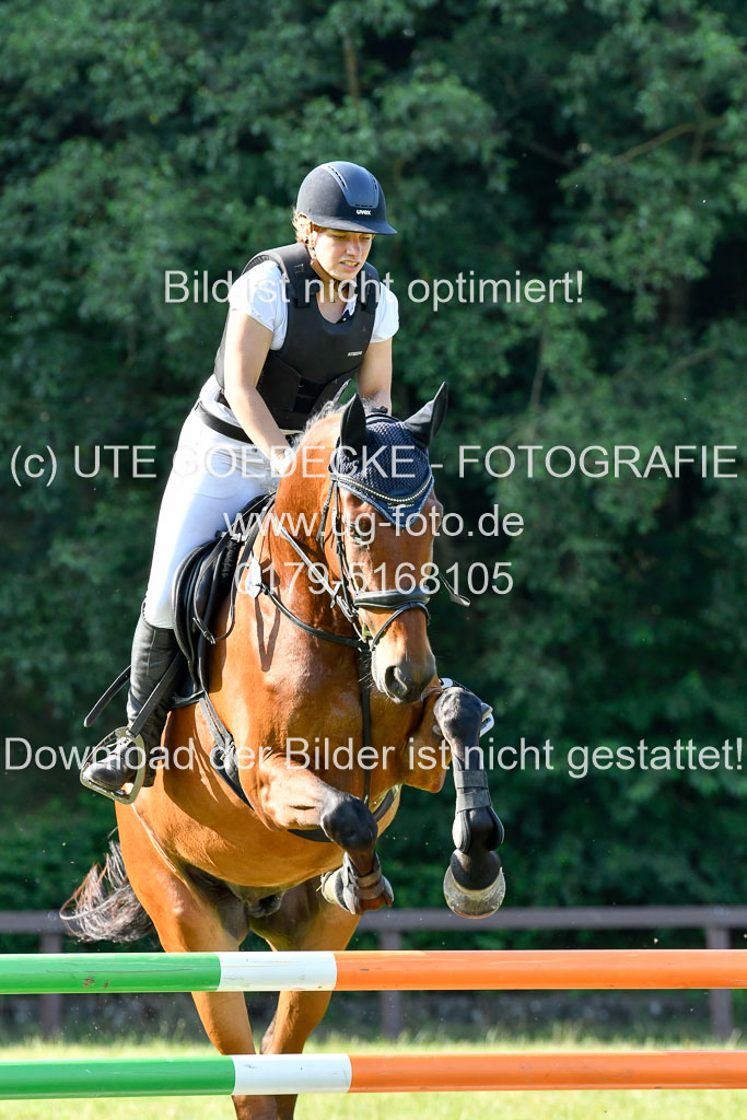 Reitturnier Harburger RV  16.7.2021 | 16072021 Springpfg Kl E_098 