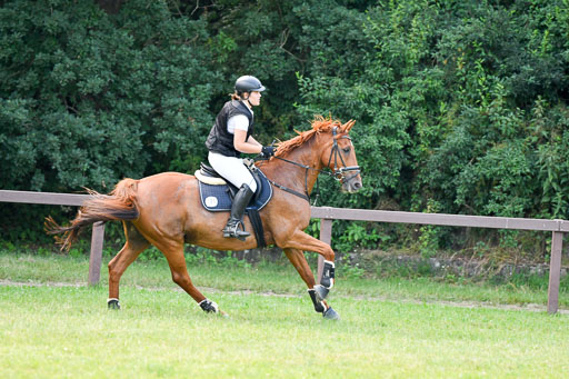 Reitturnier Harburger RV  16.7.2021 | 16072021 Springpfg Kl E_002 