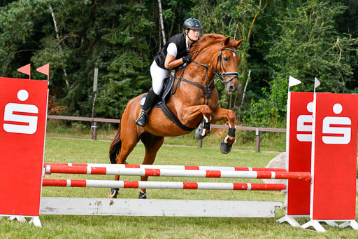 Reitturnier Harburger RV  16.7.2021 | 16072021 Springpfg Kl E_004 
