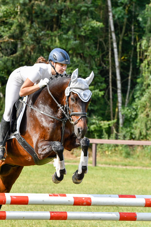 Reitturnier Harburger RV  16.7.2021 | 16072021 Springpfg Kl E_021 