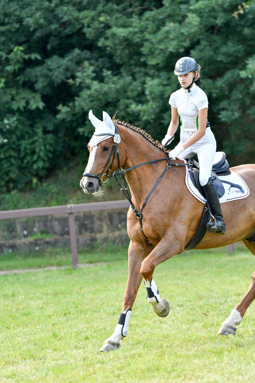 Reitturnier Harburger RV  16.7.2021 | 16072021 Springpfg Kl E_031 