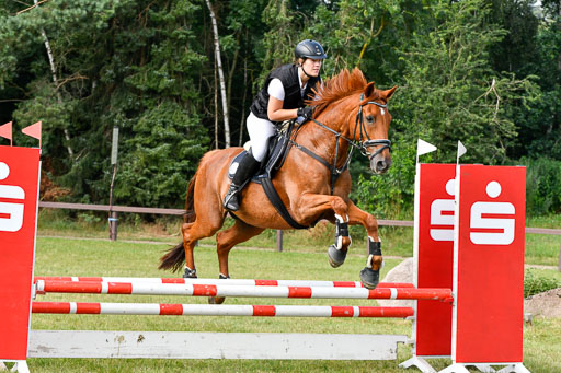 Reitturnier Harburger RV  16.7.2021 | 16072021 Springpfg Kl E_043 