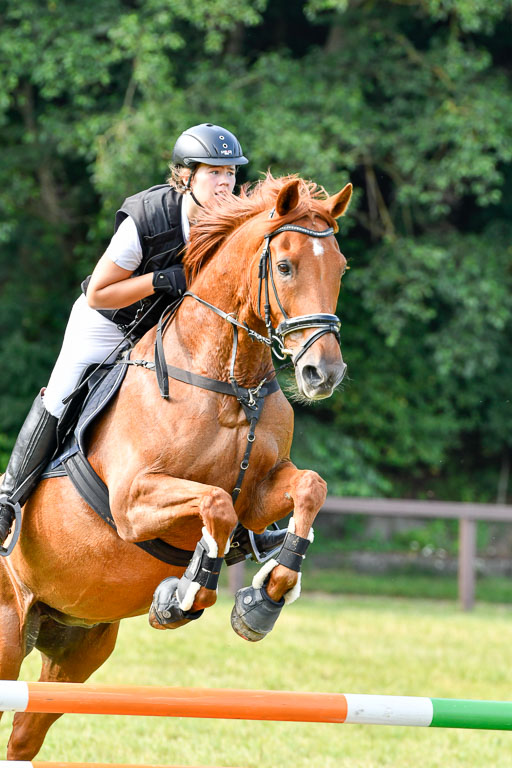 Reitturnier Harburger RV  16.7.2021 | 16072021 Springpfg Kl E_045 