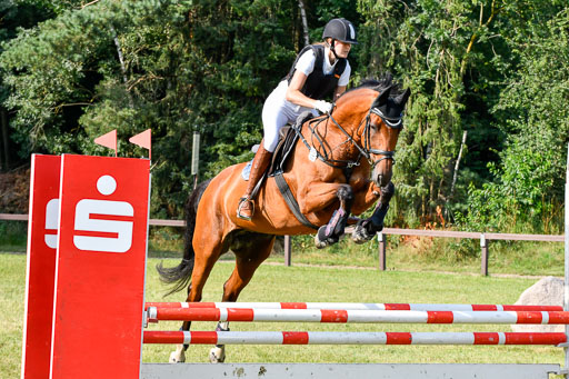 Reitturnier Harburger RV  16.7.2021 | 16072021 Springpfg Kl E_063 