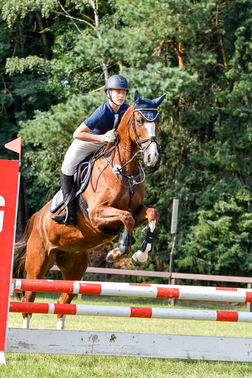 Reitturnier Harburger RV  16.7.2021 | 16072021 Springpfg Kl E_070 