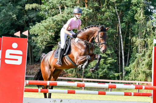 Reitturnier Harburger RV  16.7.2021 | 16072021 Springpfg Kl E_071 