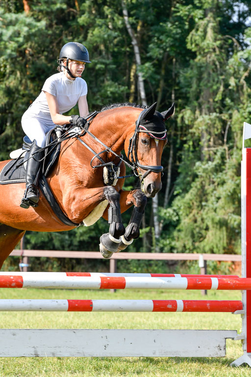 Reitturnier Harburger RV  16.7.2021 | 16072021 Springpfg Kl E_076 