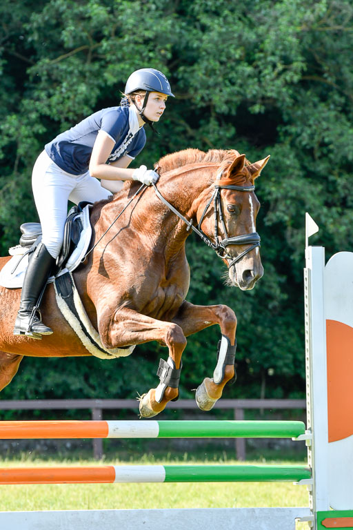 Reitturnier Harburger RV  16.7.2021 | 16072021 Springpfg Kl E_082 