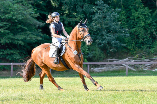 Reitturnier Harburger RV  16.7.2021 | 16072021 Springpfg Kl E_091 