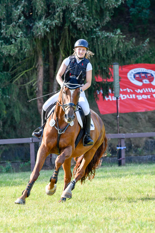 Reitturnier Harburger RV  16.7.2021 | 16072021 Springpfg Kl E_093 