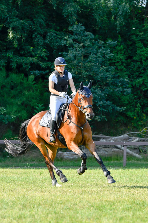 Reitturnier Harburger RV  16.7.2021 | 16072021 Springpfg Kl E_096 