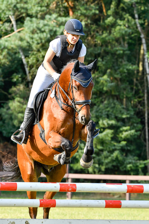 Reitturnier Harburger RV  16.7.2021 | 16072021 Springpfg Kl E_097 