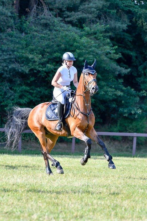 Reitturnier Harburger RV  16.7.2021 | 16072021 Springpfg Kl E_100 