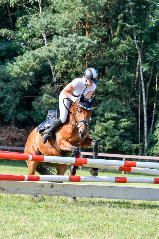 Reitturnier Harburger RV  16.7.2021 | 16072021 Springpfg Kl E_101 