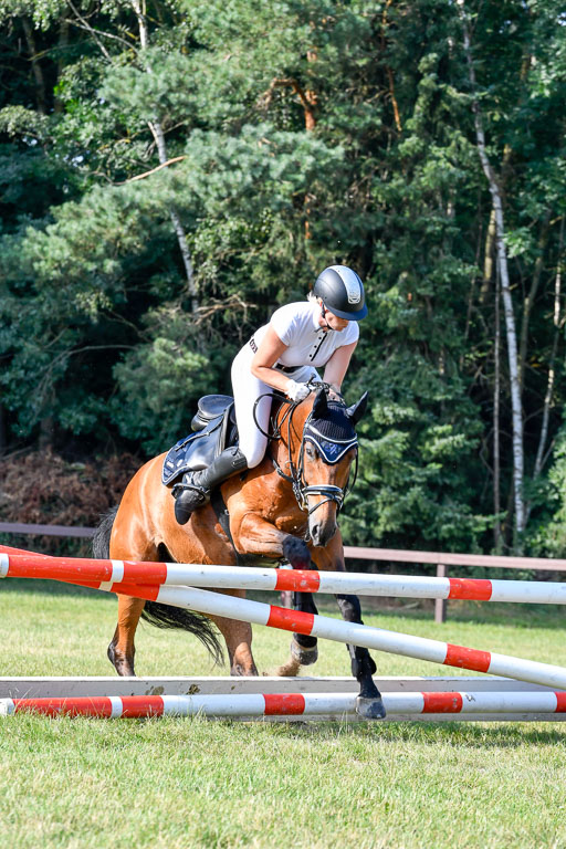 Reitturnier Harburger RV  16.7.2021 | 16072021 Springpfg Kl E_102 