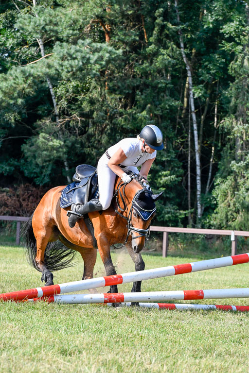 Reitturnier Harburger RV  16.7.2021 | 16072021 Springpfg Kl E_103 