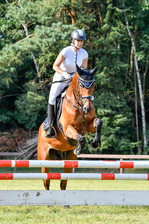 Reitturnier Harburger RV  16.7.2021 | 16072021 Springpfg Kl E_104 