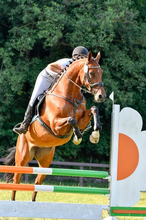 Reitturnier Harburger RV  16.7.2021 | 16072021 Springpfg Kl E_112 