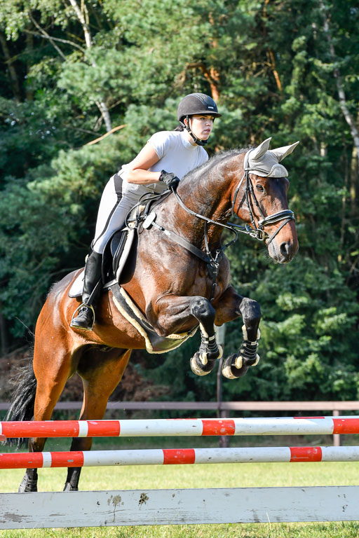 Reitturnier Harburger RV  16.7.2021 | 16072021 Springpfg Kl E_114 