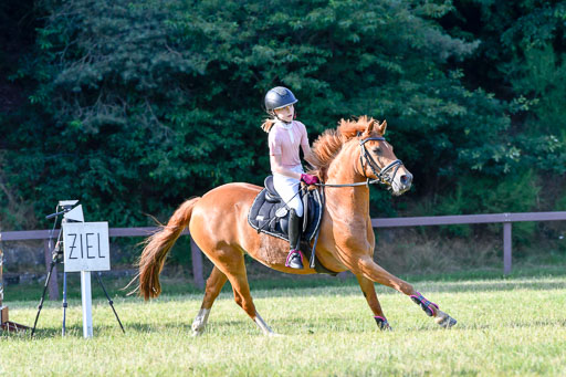 Reitturnier Harburger RV  16.7.2021 | 16072021 Springpfg Kl E_120 