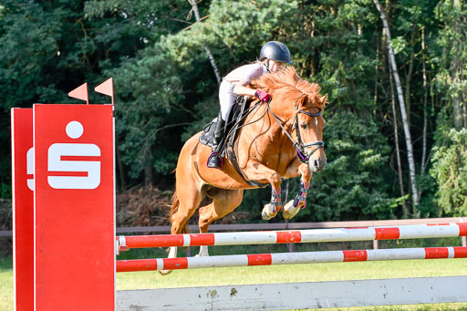 Reitturnier Harburger RV  16.7.2021 | 16072021 Springpfg Kl E_122 