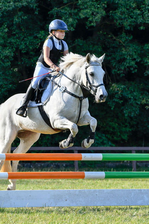 Reitturnier Harburger RV  16.7.2021 | 16072021 Springpfg Kl E_137 