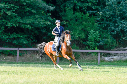 Reitturnier Harburger RV  16.7.2021 | 16072021 Springpfg Kl E_138 