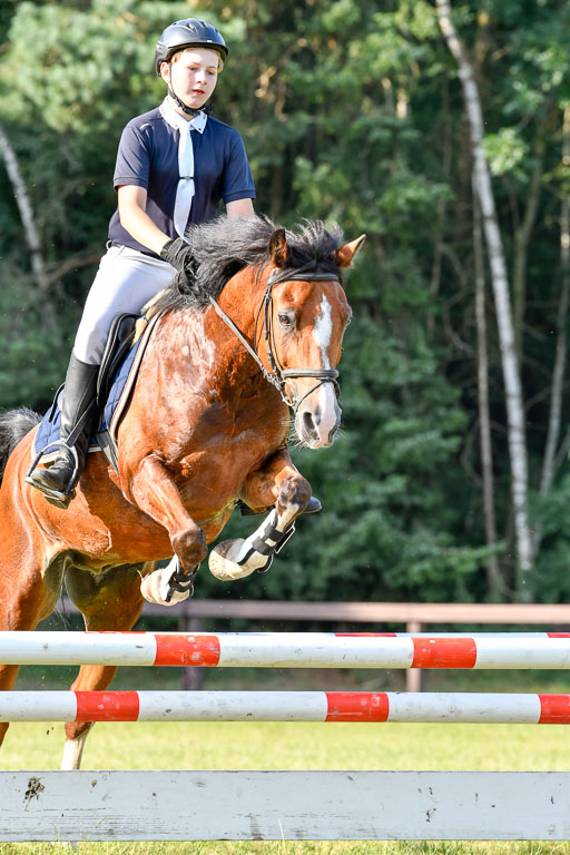 Reitturnier Harburger RV  16.7.2021 | 16072021 Springpfg Kl E_139 