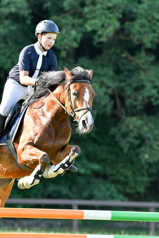 Reitturnier Harburger RV  16.7.2021 | 16072021 Springpfg Kl E_142 