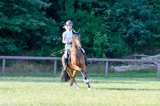 Reitturnier Harburger RV  16.7.2021 | 16072021 Springpfg Kl E_147 