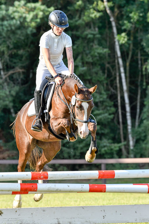 Reitturnier Harburger RV  16.7.2021 | 16072021 Springpfg Kl E_156 