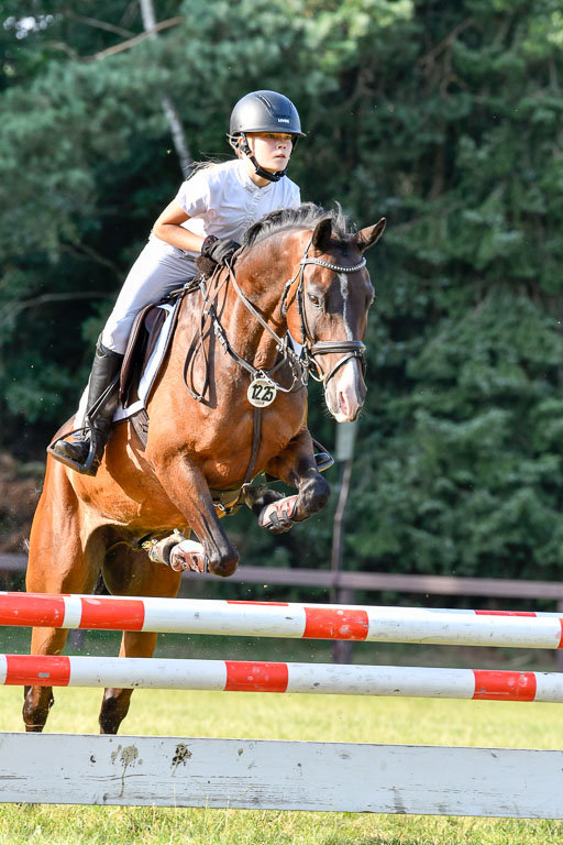 Reitturnier Harburger RV  16.7.2021 | 16072021 Springpfg Kl E_158 