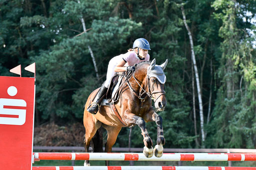 Reitturnier Harburger RV  16.7.2021 | 16072021 Springpfg Kl E_172 