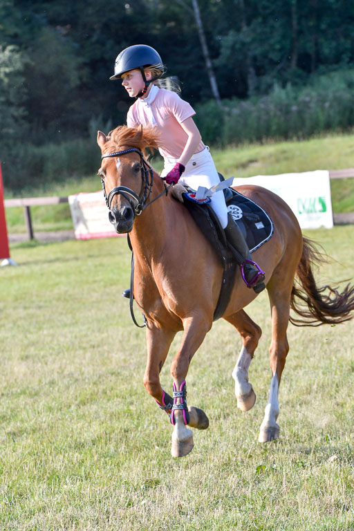 Reitturnier Harburger RV  16.7.2021 | 16072021 Springpfg Kl E_202 