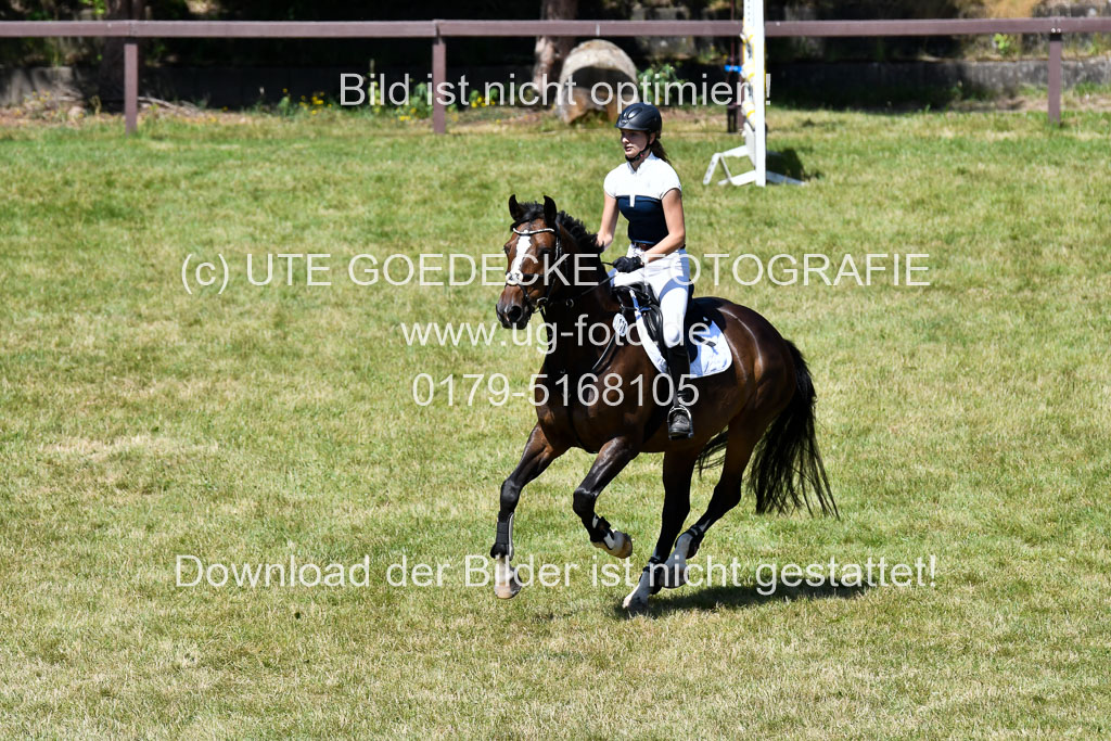 Reitturnier Harburger RV  16.7.2021 | 17072021 Springen L 2 Phasen 1 _016 