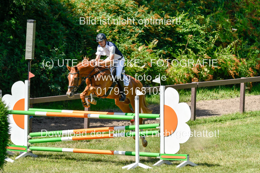 Reitturnier Harburger RV  16.7.2021 | 17072021 Springen L 2 Phasen 1 _023 
