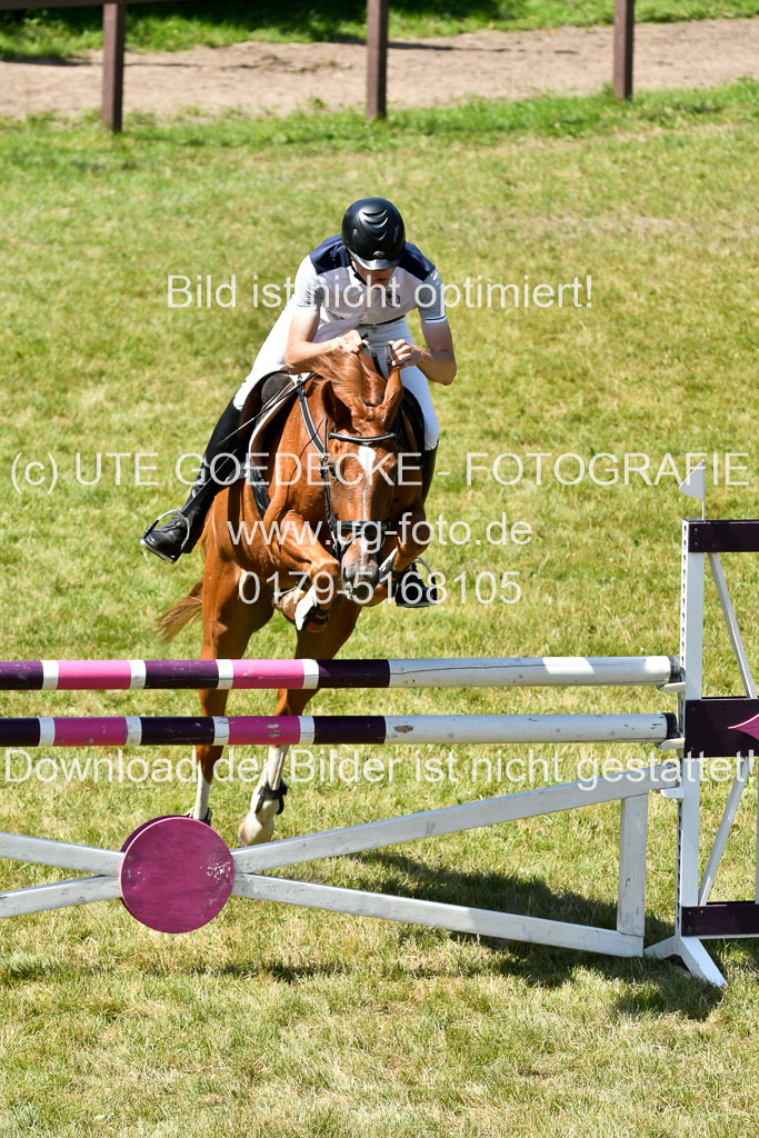 Reitturnier Harburger RV  16.7.2021 | 17072021 Springen L 2 Phasen 1 _024 