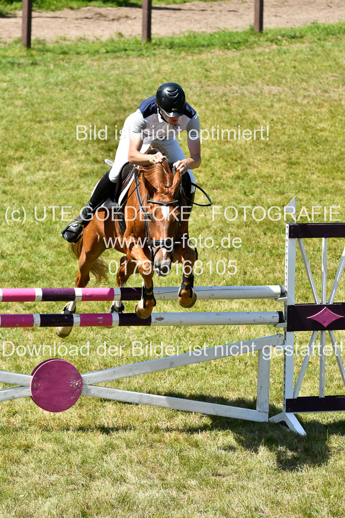 Reitturnier Harburger RV  16.7.2021 | 17072021 Springen L 2 Phasen 1 _025 