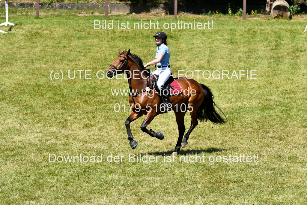 Reitturnier Harburger RV  16.7.2021 | 17072021 Springen L 2 Phasen 1 _032 