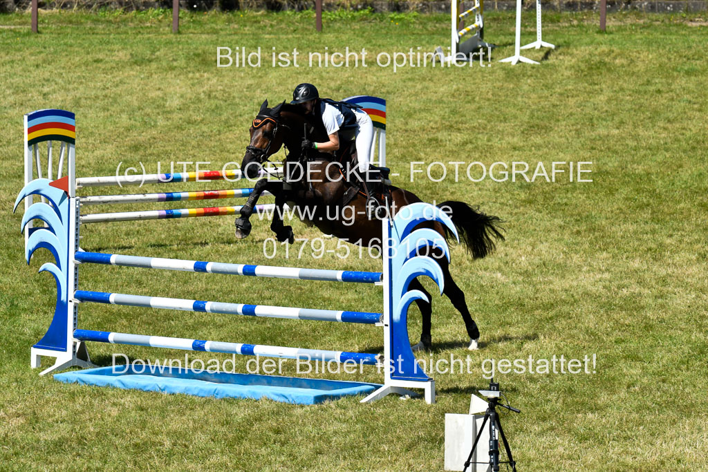 Reitturnier Harburger RV  16.7.2021 | 17072021 Springen L 2 Phasen 1 _044 