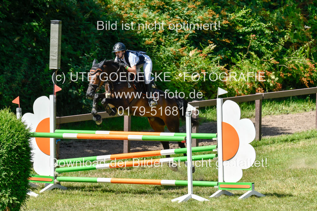 Reitturnier Harburger RV  16.7.2021 | 17072021 Springen L 2 Phasen 1 _051 
