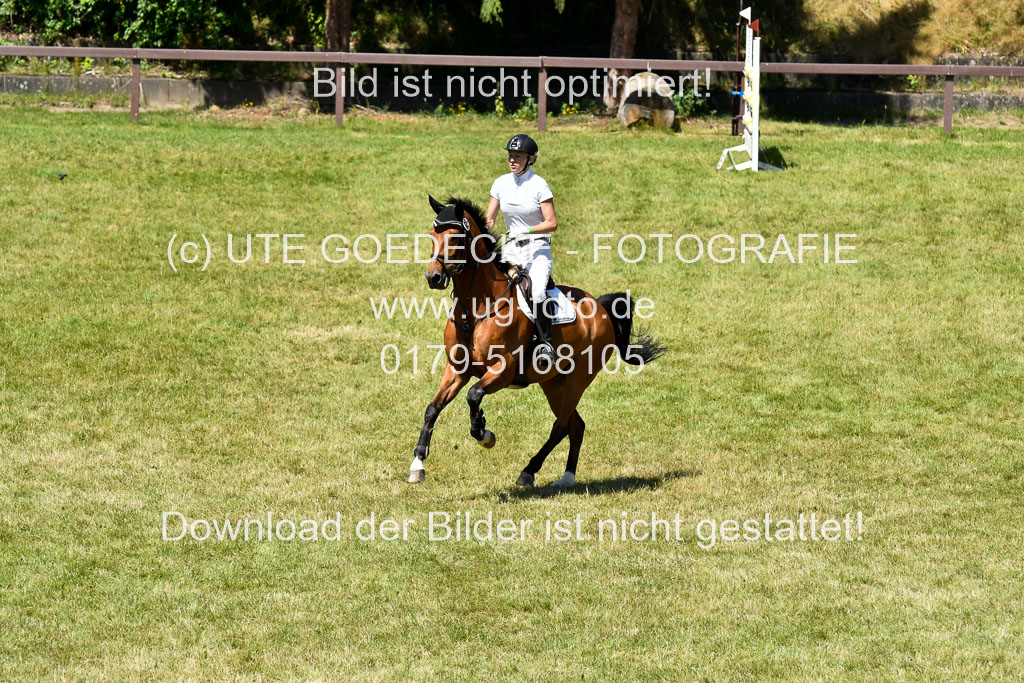 Reitturnier Harburger RV  16.7.2021 | 17072021 Springen L 2 Phasen 1 _059 