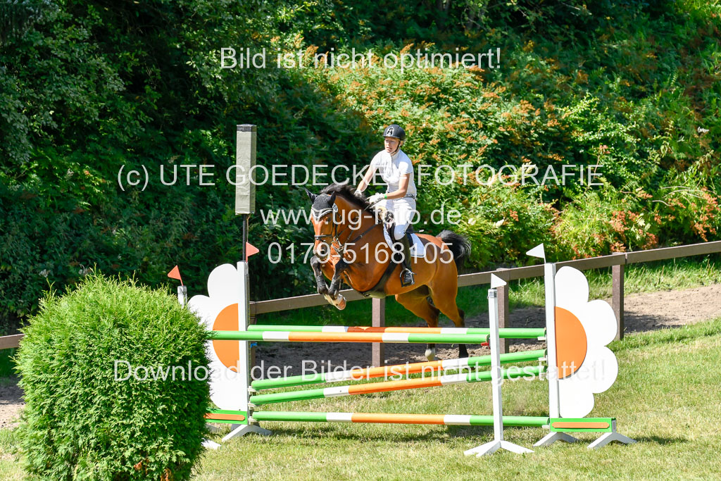 Reitturnier Harburger RV  16.7.2021 | 17072021 Springen L 2 Phasen 1 _068 