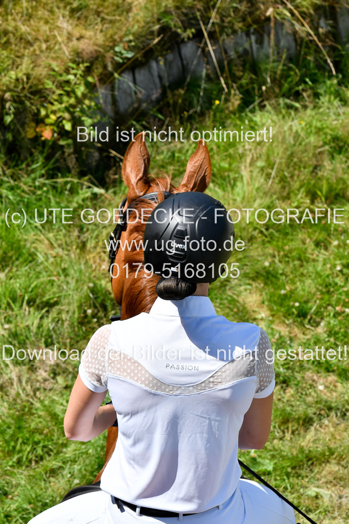 Reitturnier Harburger RV  16.7.2021 | 17072021 Springen L 2 Phasen 1 _069 