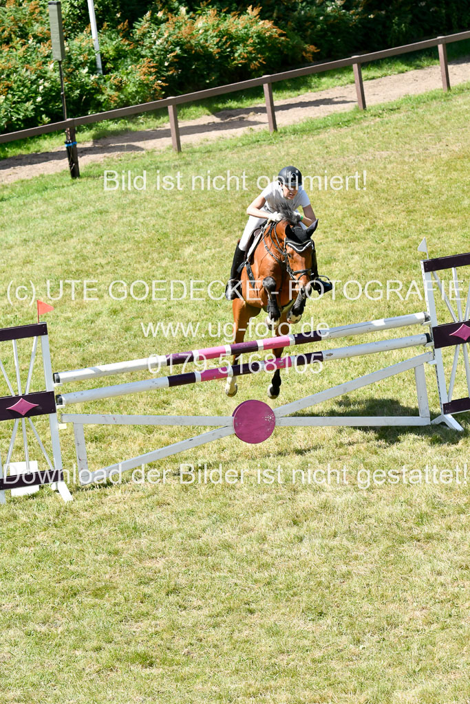 Reitturnier Harburger RV  16.7.2021 | 17072021 Springen L 2 Phasen 1 _070 