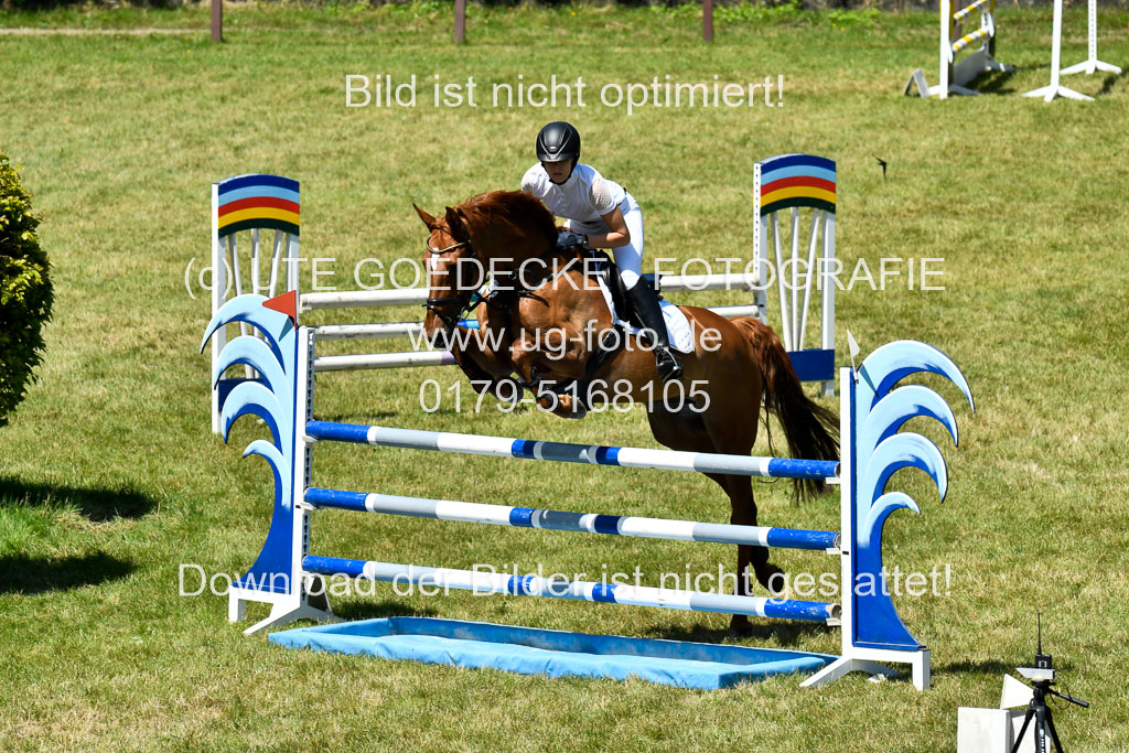 Reitturnier Harburger RV  16.7.2021 | 17072021 Springen L 2 Phasen 1 _091 
